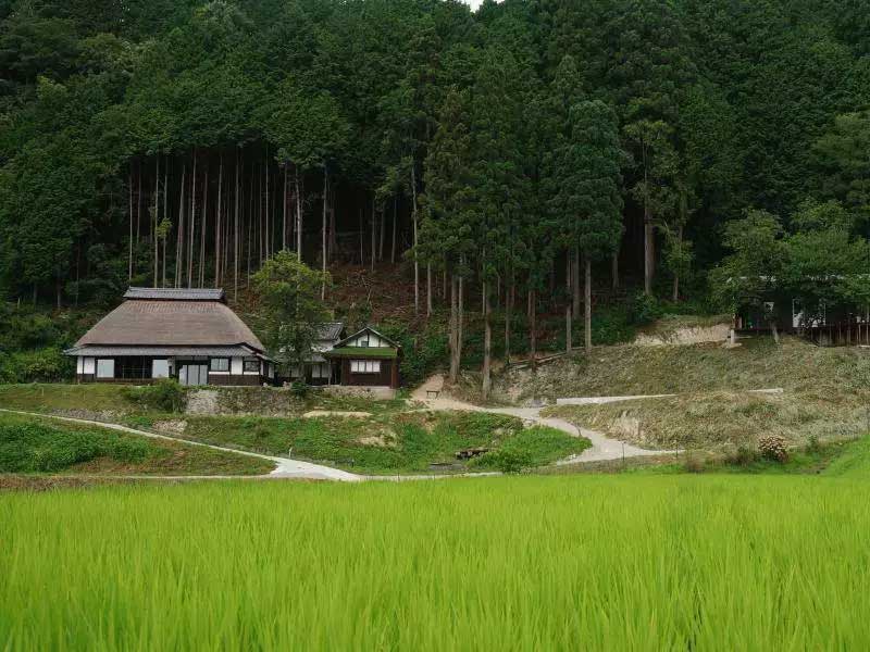 禪意民宿實景圖3